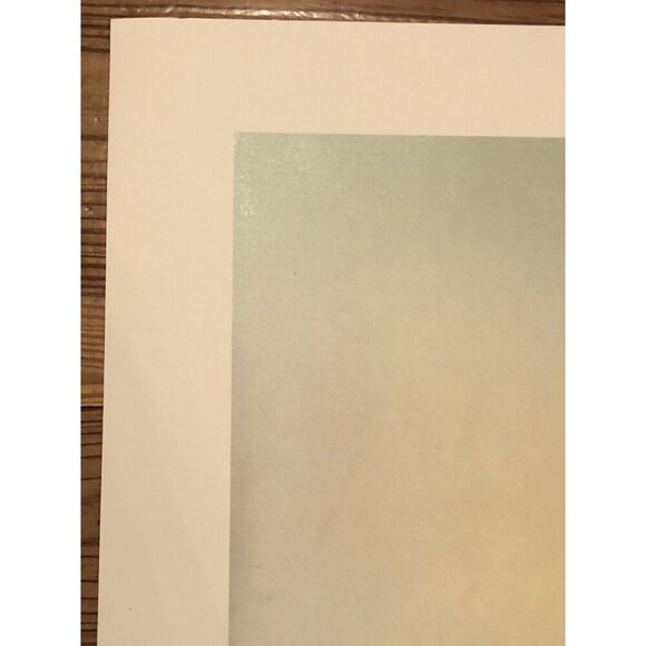 32"x22" Limited Edition Signed Numbered PRINT Last Leaves by CAROLYN BLISH 1980 - Picture 4 of 9